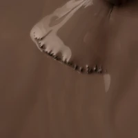  LongWear 227 Purr-fection 10 ml