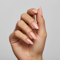 Gellak 440 La Vie en Bloom