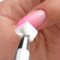 Ombre Tweezer Tool & Sponges 100 pcs